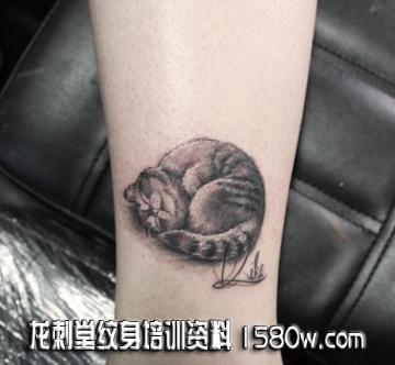 ������è������ͼ��