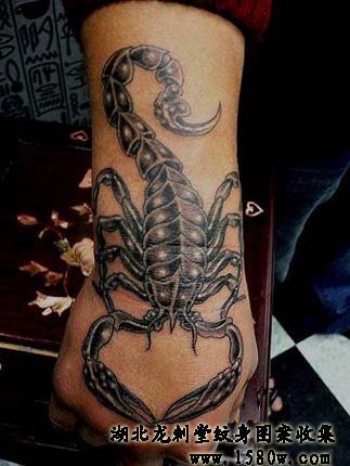 �ֱ�Ы������ͼƬ