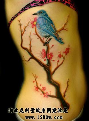 С��÷��������������