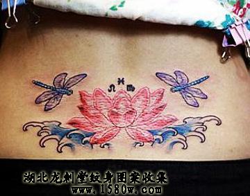 ��������������������