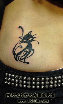 ͼ��è������������