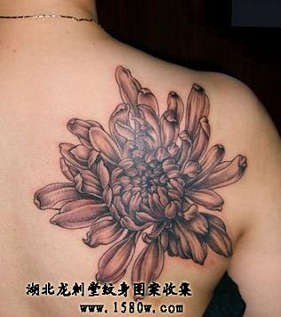 �ջ�����ͼ��