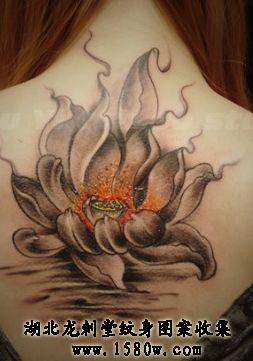 ��������ͼƬ