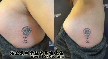 ���տ�����ͼƬ