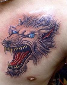 �׶�������ͼ��